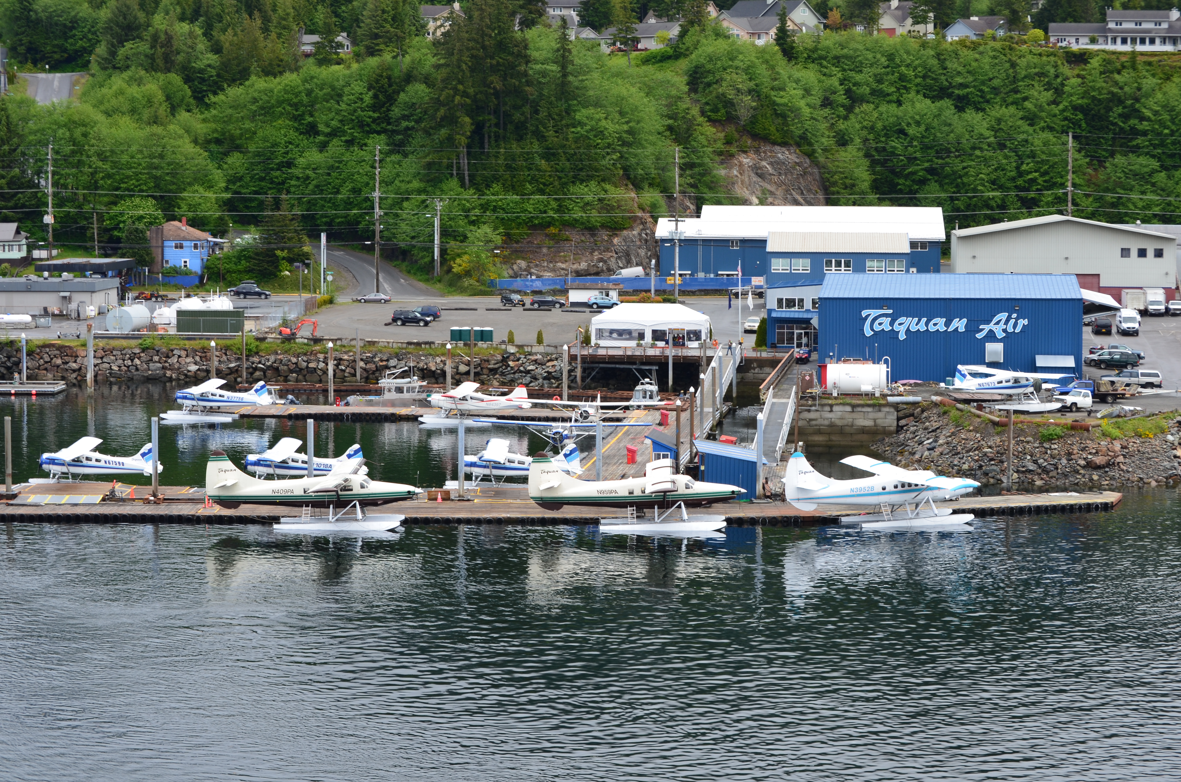 ./2017/08 - Alaska Cruise/11 - Ketchikan/DSC_0420.JPG
